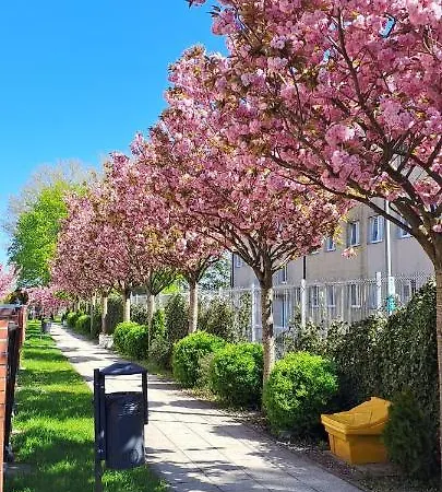 Al-Dom Apartamenty Wisniowy Ogrod Z Garazem Kolobrzeg Exterior photo